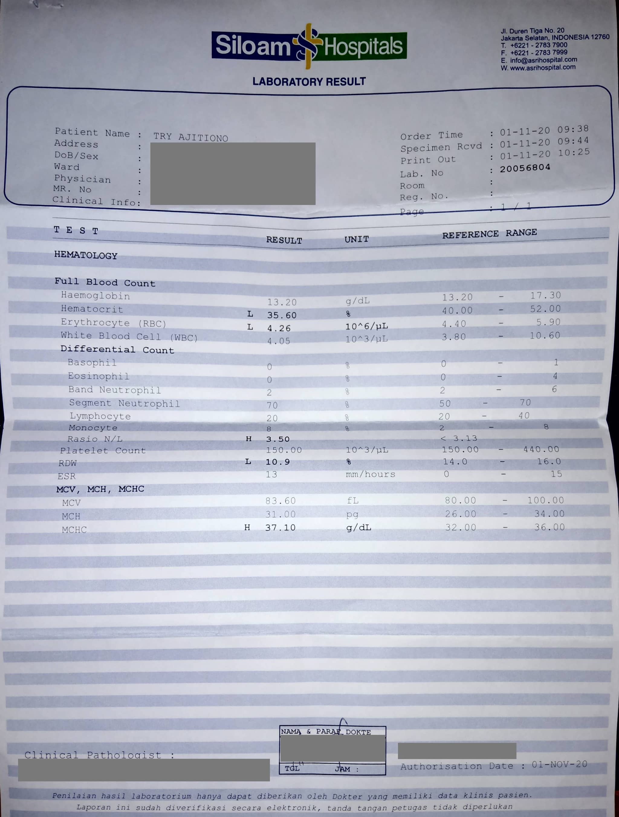 My full blood test on November 1, 2020. Red blood cell count was lower than it should, whereas platelet count was at the low-end of the normal range.